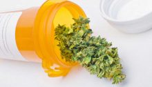 informazioni sulla cannabis ad uso medico